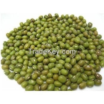 Best Quality Green Mung Beans / Vigna Beans/ Organic Mung Beans