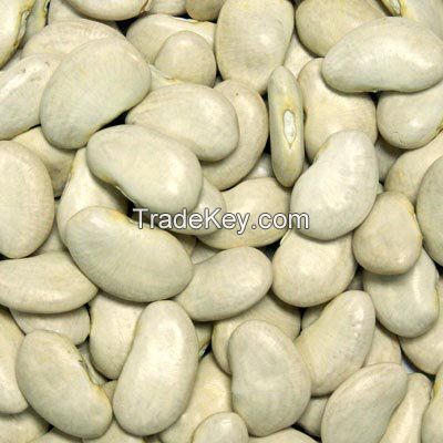 Dried lima Beans, Haricot Beans, Kidney Beans