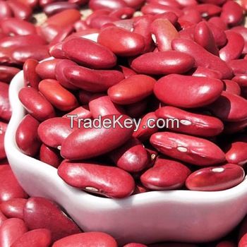 FRESH KIDNEY BEANS RED, WHITE AND SPECKLED KIDNEY BEANS