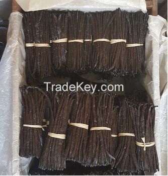 Organic Cultivated Gourmet vanilla beans from Madagascar, Bourbon vanilla, Black Vanilla Bean Farm Price