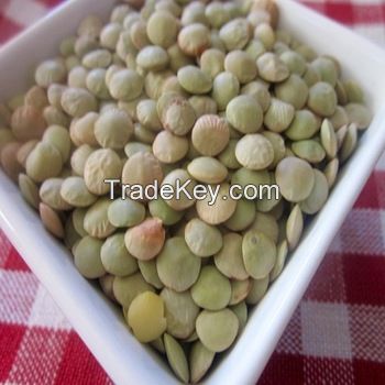 Wholesale Green Lentils, Red Lentils , RedSplit Lentils