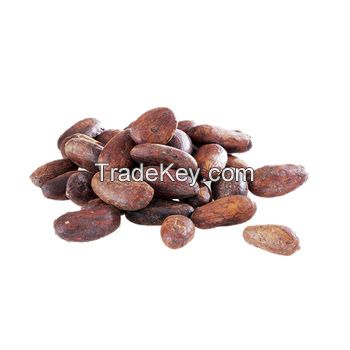 Quality Dried Cacao Beans / Cocoa- Beans