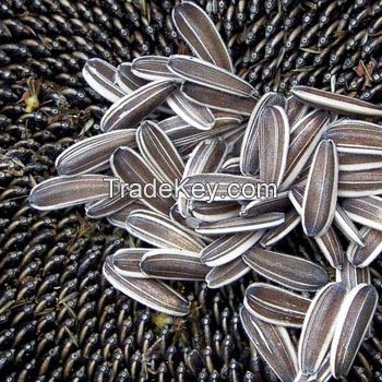 Sunflower Seeds, Sunflower Oil, Sun Flower Seeds