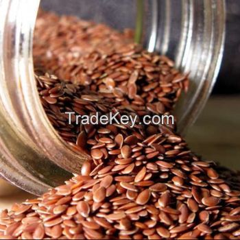 Flax seeds /Organic Flax seeds for sales