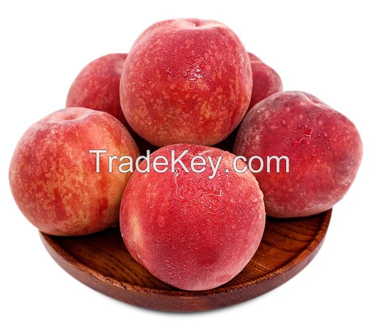 Wholesale high quality grafted Peach tree seedling of fruit tree seedling