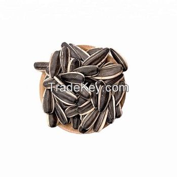Raw Dried 5009 sunflower seed kernels for sale