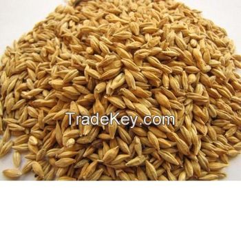 Premium High Quality Animal Feed Barley