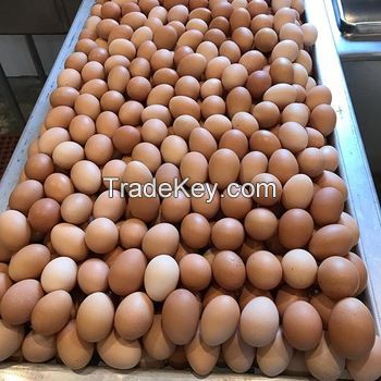 White and Brown Chicken Eggs/Fresh Table Eggs.