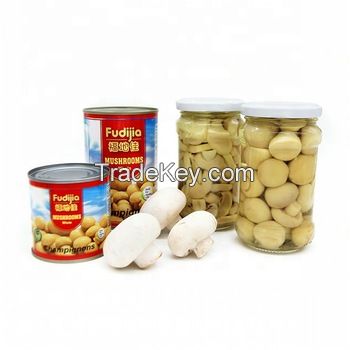 High Quality Fresh Canned Mushroom for sale