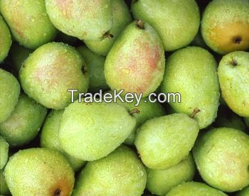 Sweet High Quality Fresh Fruit Sweet Nutrition Pear