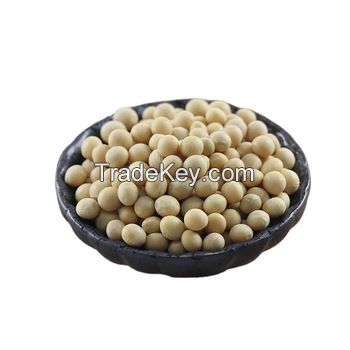Soybean Seed /Soya Bean Seeds in Bulk