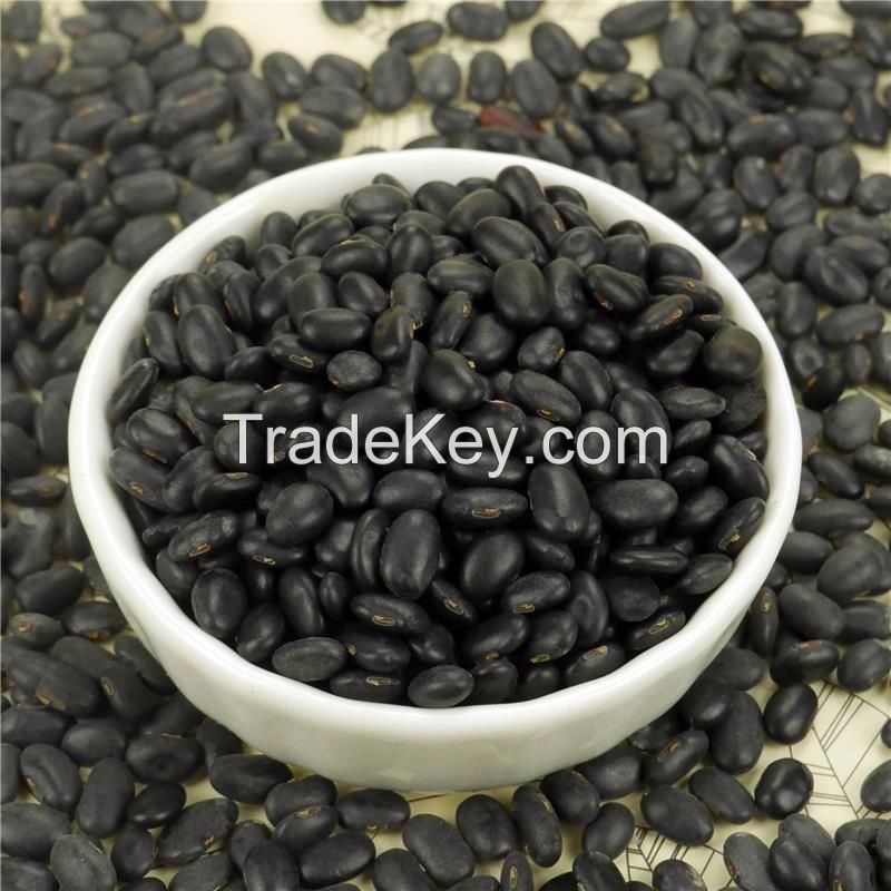 Wholesale High Quality Organic  Black Kidney Beans