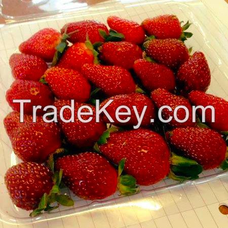 Fresh Top Quality Sweet Strawberries Now Available on 30% Discount Ready for Export