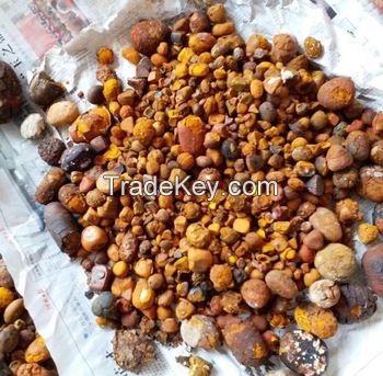 Excellent Quality Ox Gallstones Natural Cow Gallstones