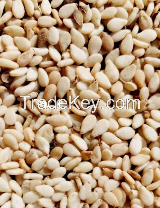 Sesame Seeds