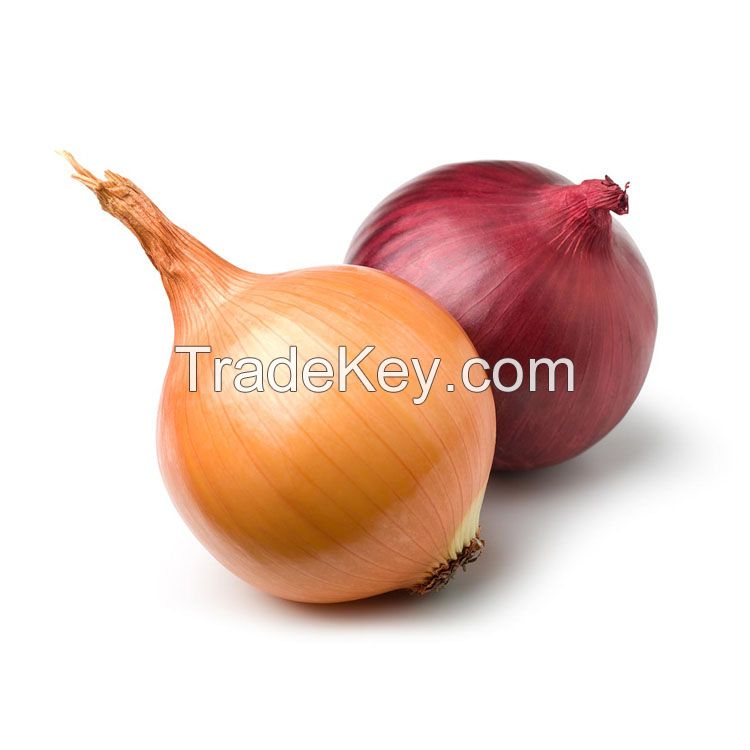 Fresh Onion In Bulk Cheap Red/Yellow Onions For Sale
