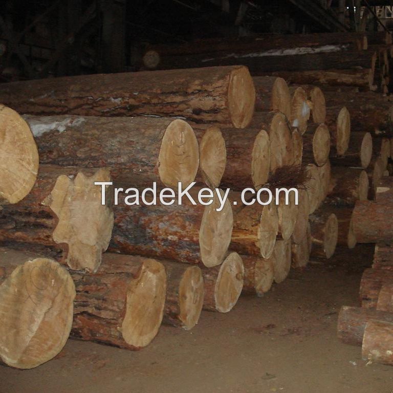 Teak Wood - Round Logs, Swan Timber Logs