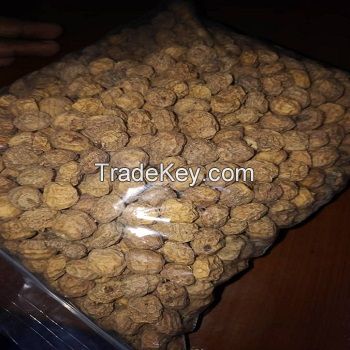 High quality natural  tiger nuts