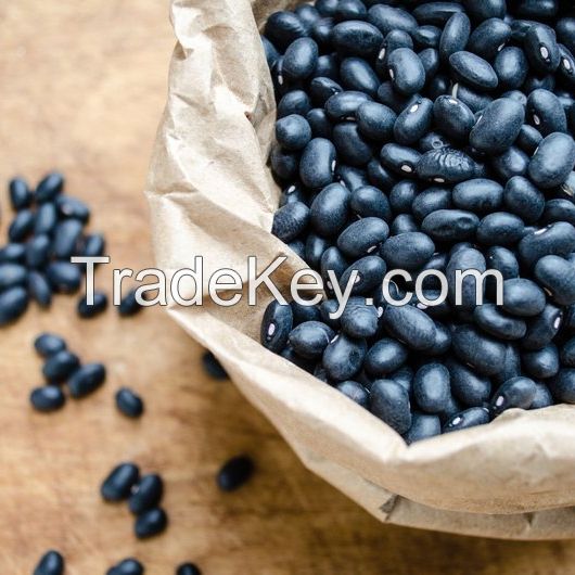 Natural Dried Black Kidney Beans black turtle bean