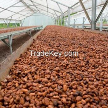 Good Quality Dried Grade A Cocoa/ Cacao/ Chocolate Bean