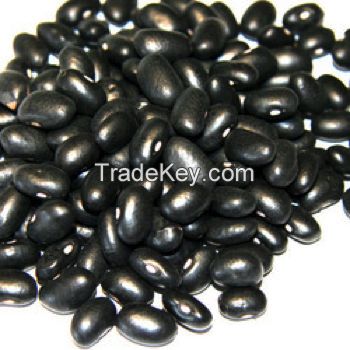 BLACK KIDNEY BEAN