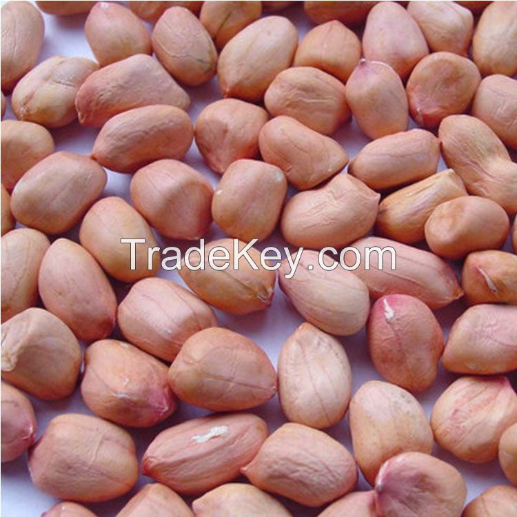 Top Quality Raw Peanuts Kernel And Raw Peanut In Shell