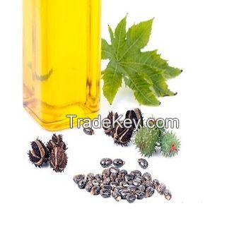 Castor Oil Seed, Crude and Refined Castor Oil / Castor Seeds