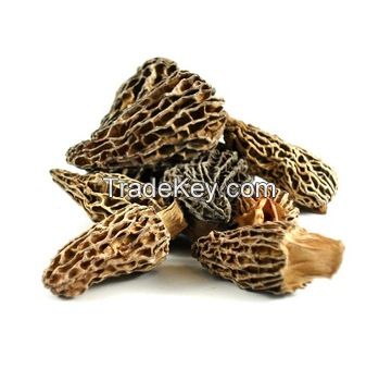 Wild Morel Dried Mushroom