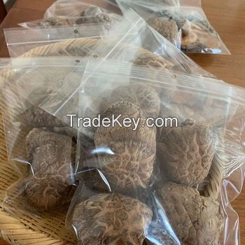 Natural Dried Shiitake Mushrooms wholesale
