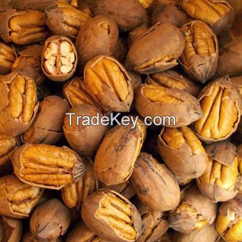 Organic Pecan nuts available for sale at lowest price