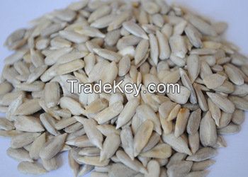 Sunflower Seeds Kernel For Edible Snacks Confectionery Grade Bakery Grade