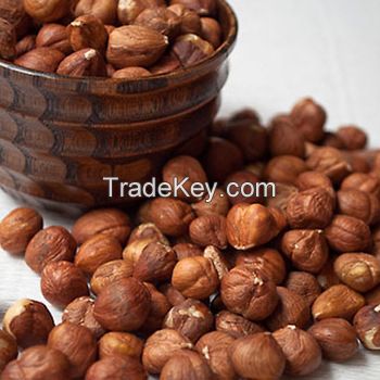 Quality Natural Raw Hazelnut