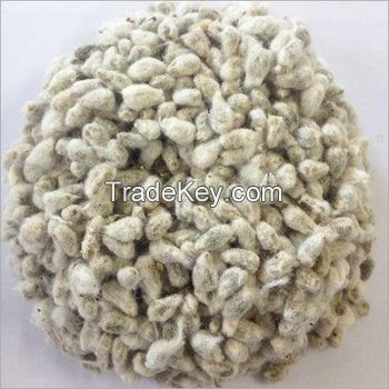 Quality Cotton Seeds