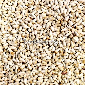 BEST QUALITY SAFFLOWER SEEDS