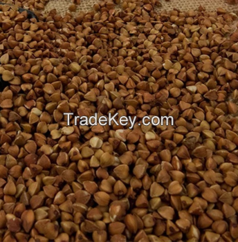 High Quality Raw Buckwheat For Sale