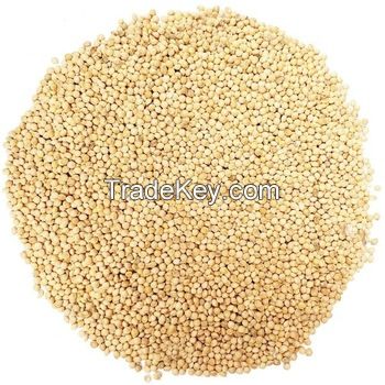 High quality Millet