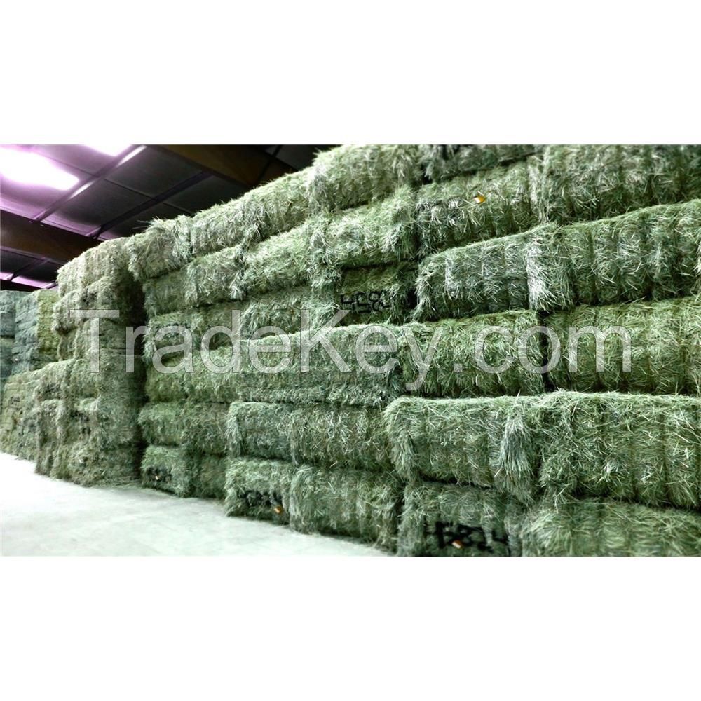 High Quality Animal Feed Alfalfa Hay