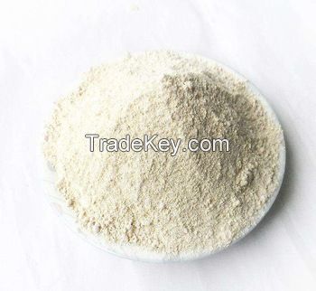 Healthy and nutritious all purpose white wheat flour