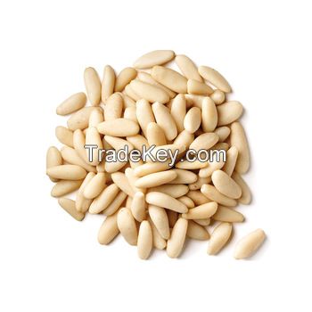 Best Quality Healthy Snacks Bulk Raw Pine Nuts at Attractive Prices