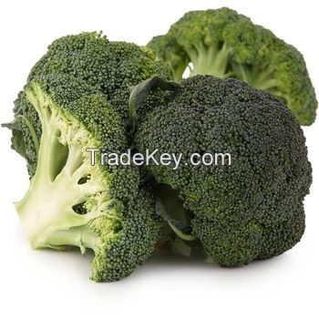 Fresh Broccoli , Fresh Green Brocolli, Frozen fresh broccoli
