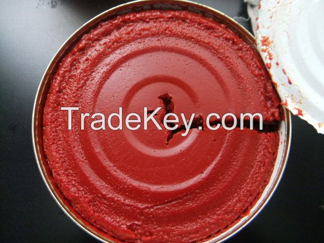Tomato Paste/ ketchup/ tomato puree/ redeye