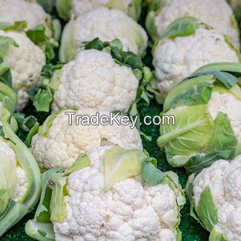 Fresh Cauliflower for sale