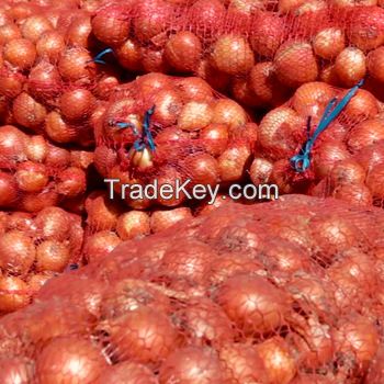 Newest crop red fresh onion