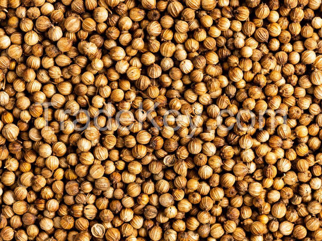 Our company supplies whole coriander seeds to different countries.