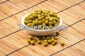 Canned green peas 1st Quality