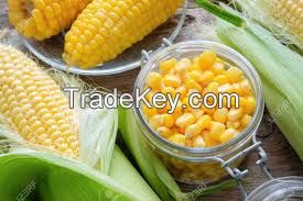 Healthy Canned Sweet Corn