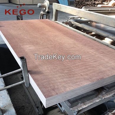 Keruing 100% 19 plies container flooring plywood 2400 x 1160 x 28mm
