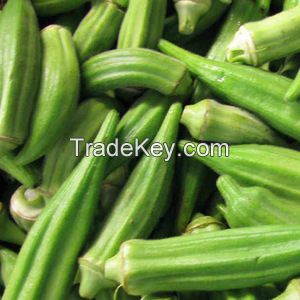 Fresh Green Okra