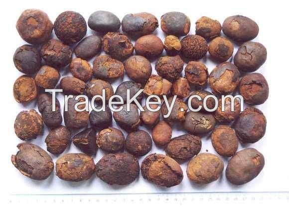 Ox And Cow Gallstone