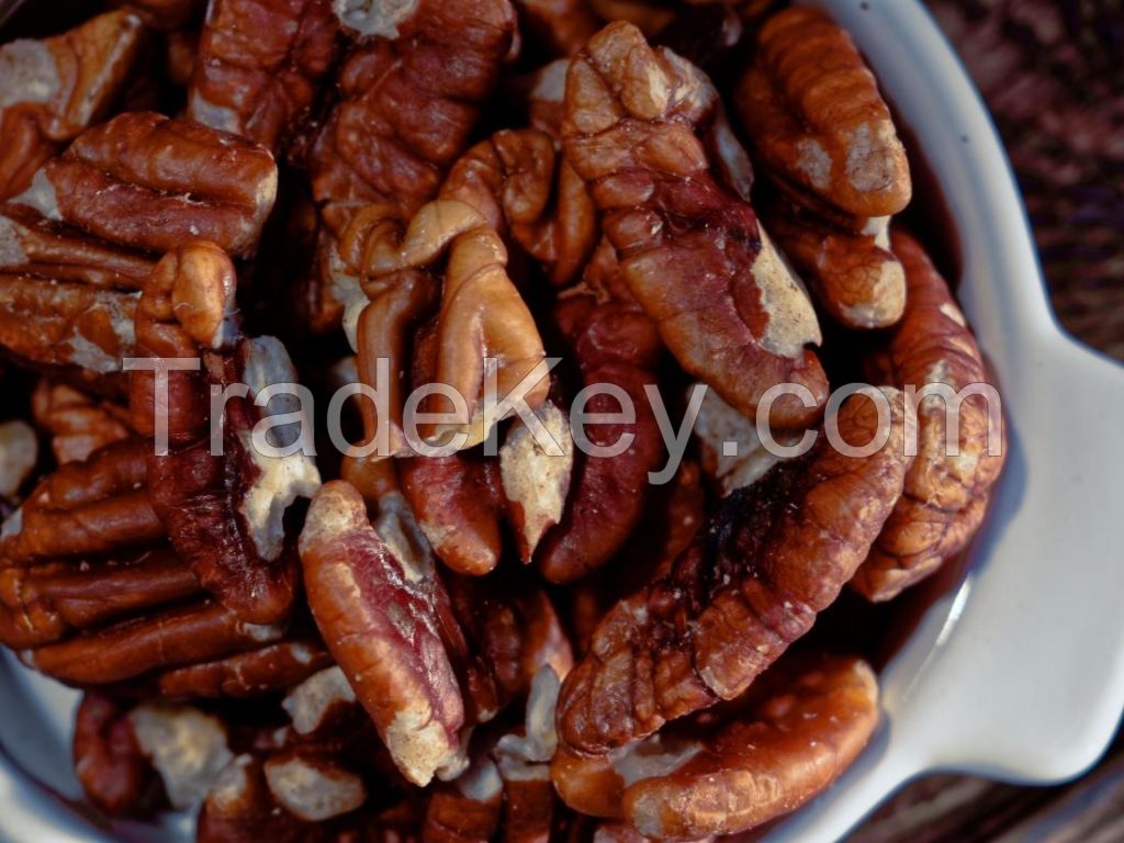 ROASTED PECAN NUTS / SALTED PECAN NUTS / RAW PECAN NUTS